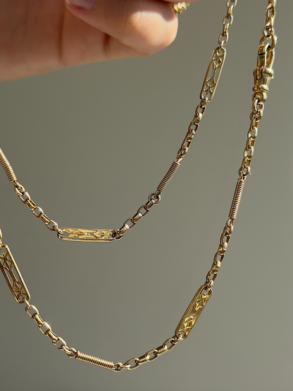 RARE ANTIQUE FANCY LINK GUARD CHAIN